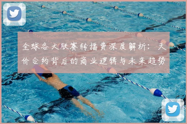 全球各大联赛转播费深度解析：天价合约背后的商业逻辑与未来趋势